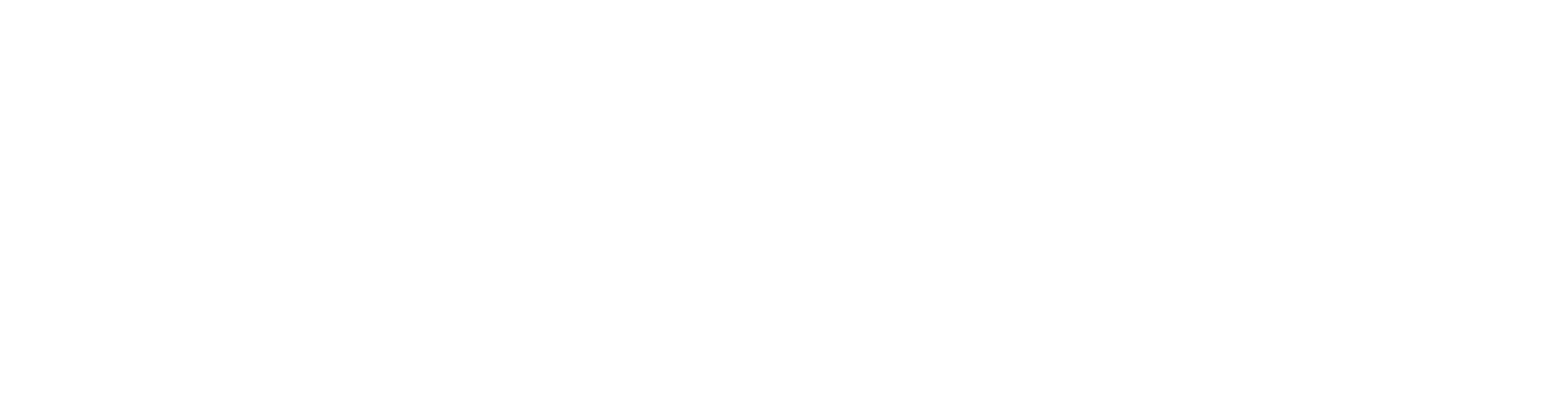 Audioserv home